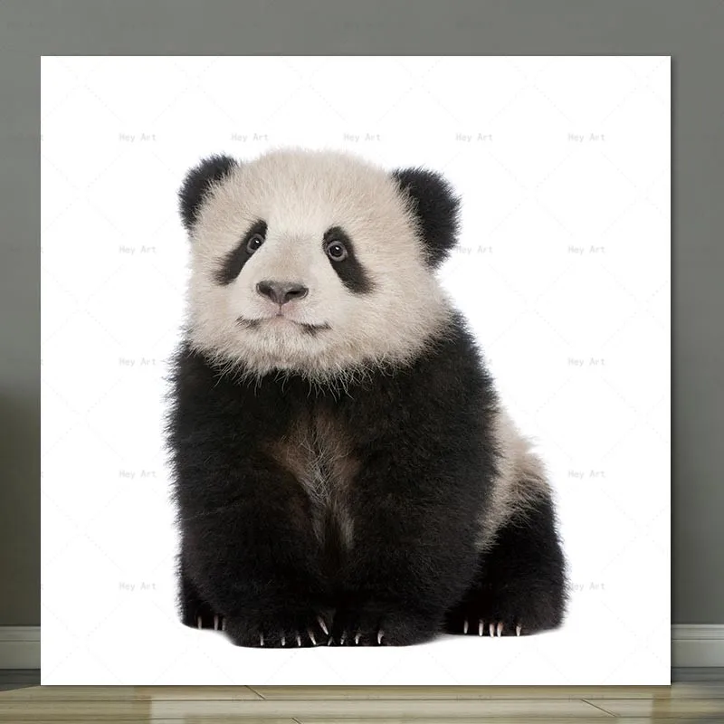 Animal wall art Poster Home Decor picture panda Canvas Painting Unframed prints Giclee Paintings for baby room painting Animal wall art Poster Home Decor picture panda Canvas Painting Unframed prints Giclee Paintings for baby room painting