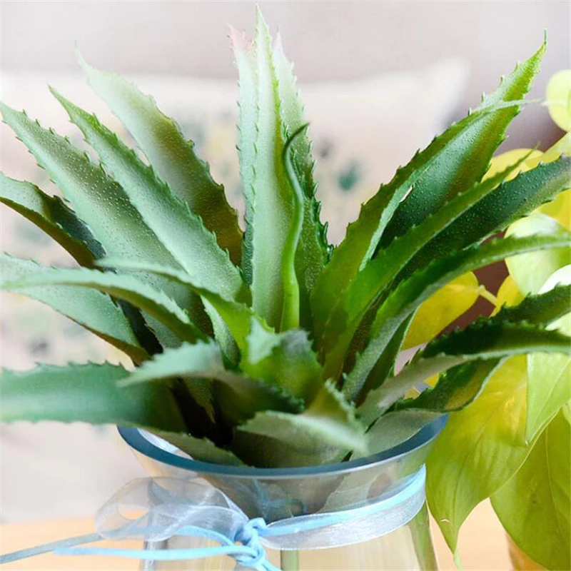 aloe vera fai da te