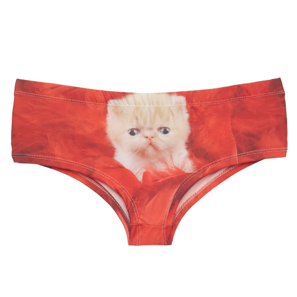 37060 RED FEATHERS CAT (3)