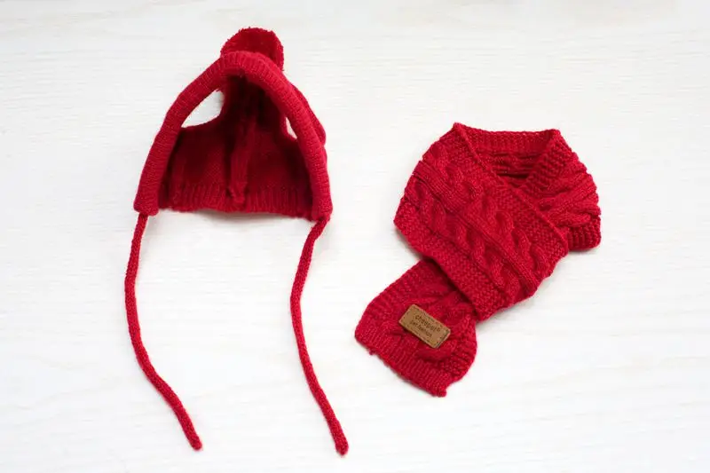 pet christmas hat (2)