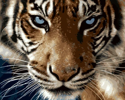 

DRAWJOY Tiger Framed Picture Painting By Numbers Home Decor Painting&Calligraphy DIY Canvas Oil Painting Wall Art Unique Gift
