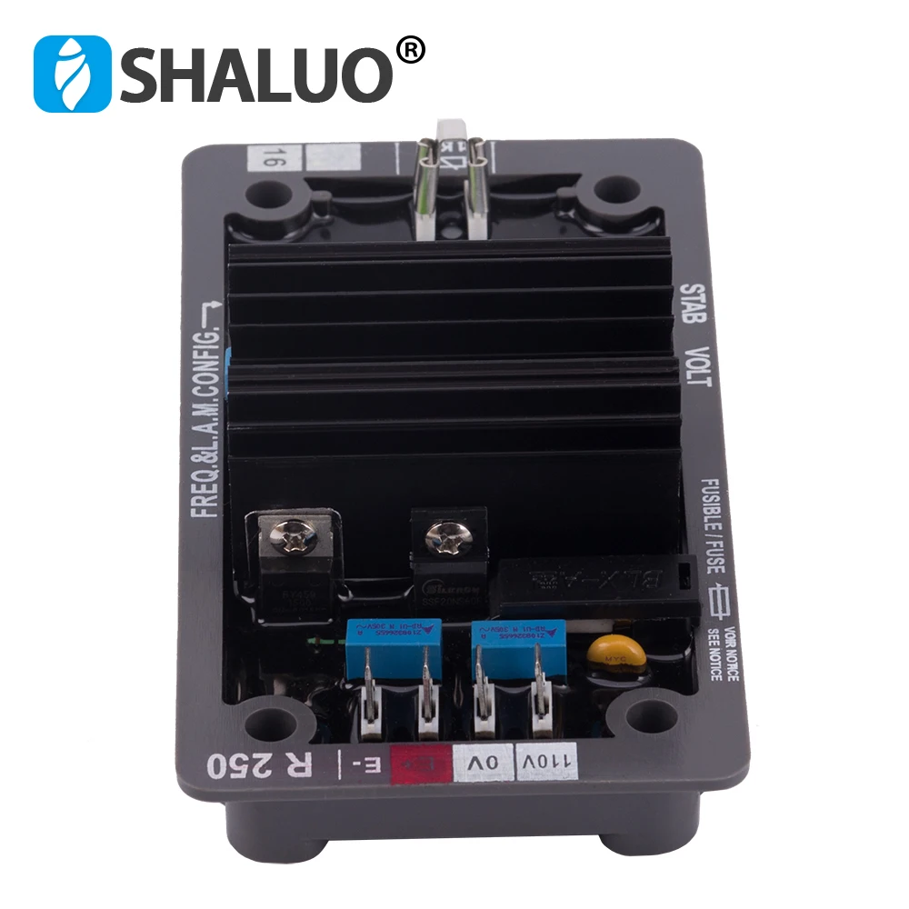 R250 AVR (1)