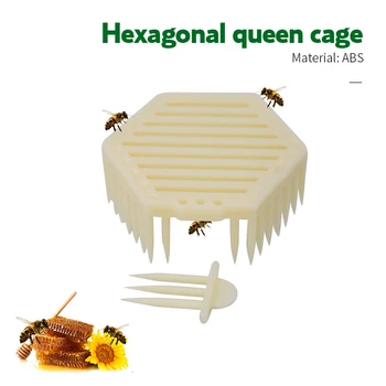 

2pcs/bag Beekeeping Tool Queen Marker Cage Bee Catcher Tools Plastic Hexagonal Beekeeper Needle Type Catching Bees Supplies