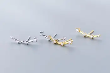 

lady's Real. 925 Sterling Silver jewelry Zirconia aaa+ paw stud Earrings jewelry GTLE2635