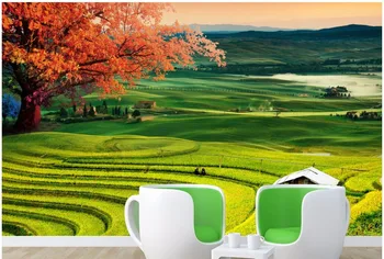 

Custom mural photo 3d wallpaper Maple paddy field lawn TV sofa background wall painting 3d wall murals wallpaper for walls 3 d