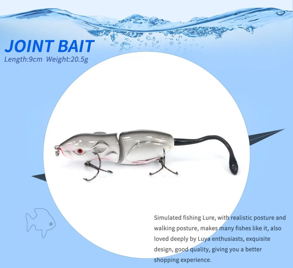 -RAT2_01