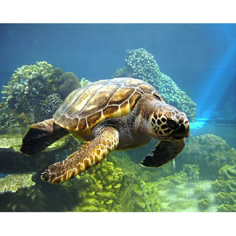 

YIKEE diamond painting Sea turtle,diamond painting full drill,5d painting K146