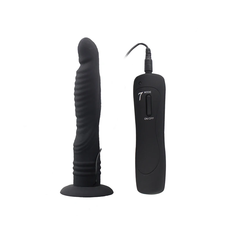 Dildo Vibrators (1)