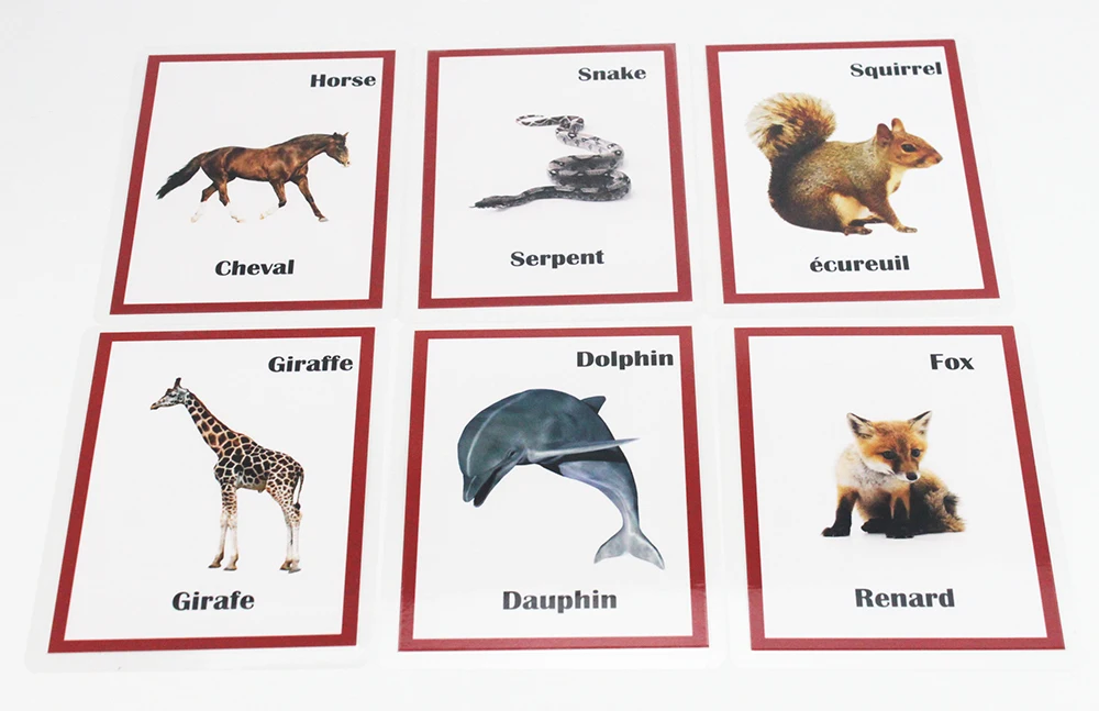 Educativos para Crianças Brinquedos para Crianças Francês Inglês Animais Aprendizagem Flashcards Cartão Jogos Juguetes Educativos 30pcs - 15 Home & Garden