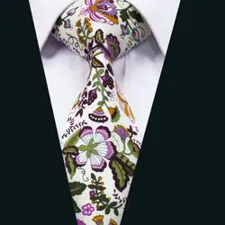 LD-1310 Новинка; Лидер продаж Для мужчин галстук Красочный Мода хлопок Барри. ван бренд Дизайн галстук Gravata для Для мужчин; вечерние свадебные