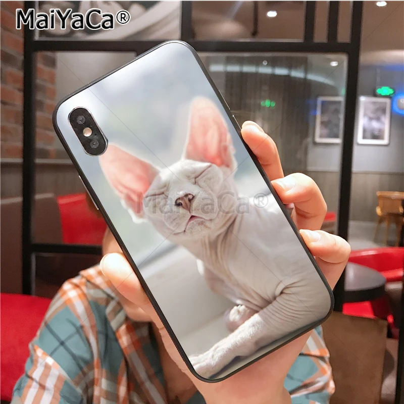 Уникальный силиконовый чехол для телефона MaiYaCa sphynx cat для iphone 11 Pro 6S 6plus 7 7plus 8 8Plus X 5 5S чехол