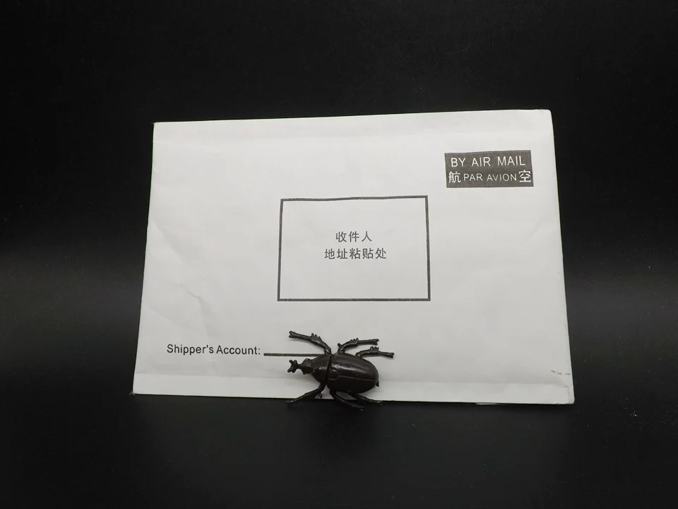 J175-Beetle (9)