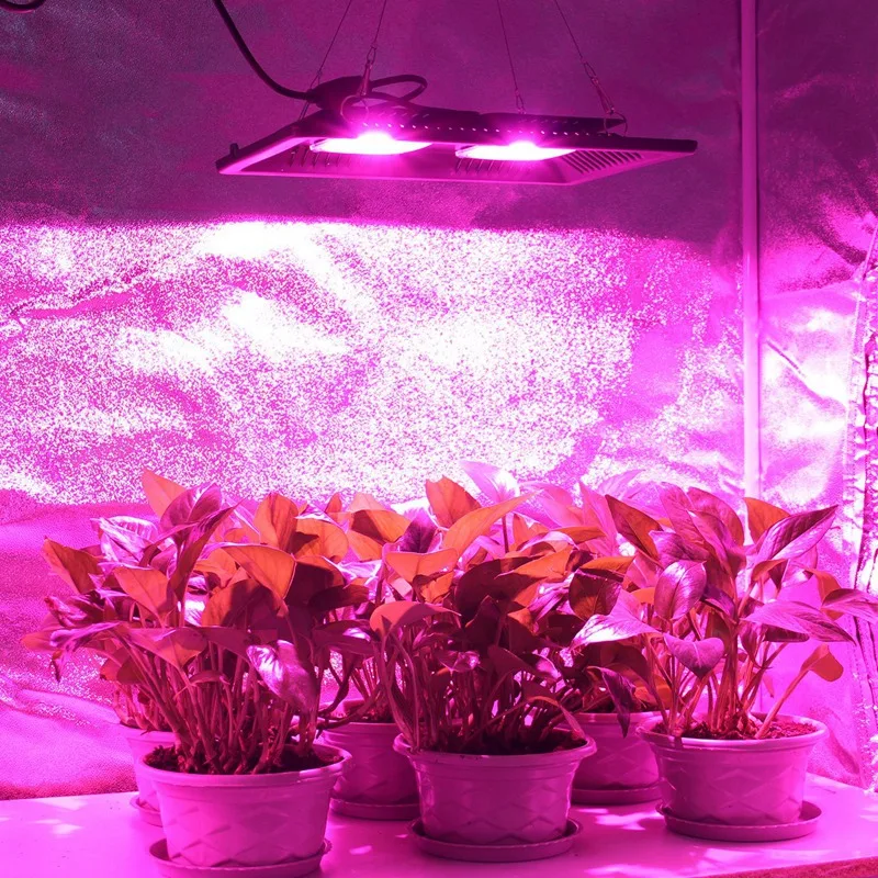 Led Grow Light 1000 W 220 V-240 V фитолампа Ip65 Водонепроницаемый полный спектр для посев цветов для выращивания растений фито-ультрафиолетовая лампа