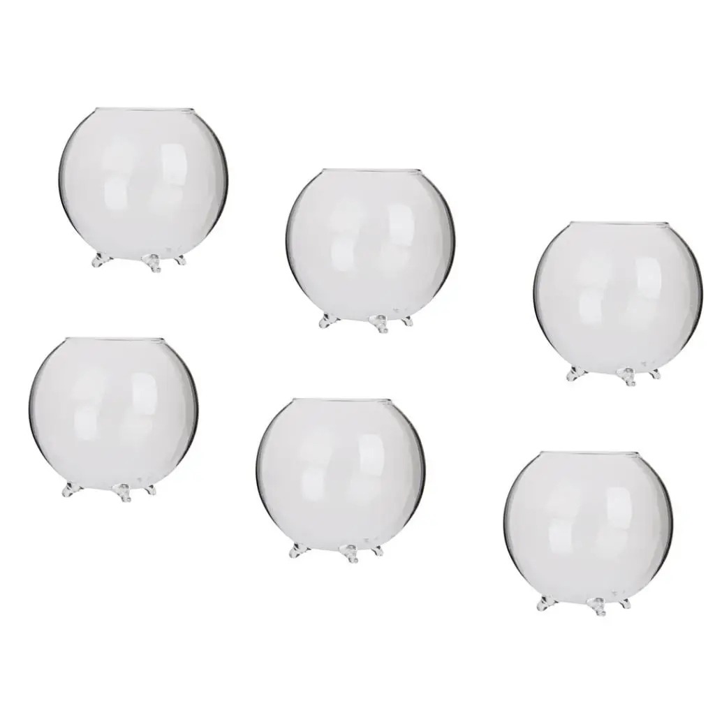 6pcs Home Decorative Ball Shape Clear Glass Display Vases Fish Bowl Air Plants Hydroponic Pot Terrarium DIY Micro Landscape Tool