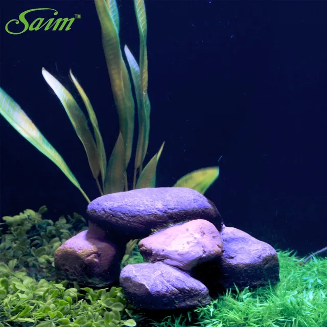 aquarium design with rocks