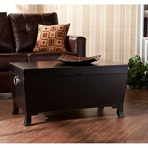 Vibrant Black Hayden Cocktail Storage Trunk by Southern Enterprises