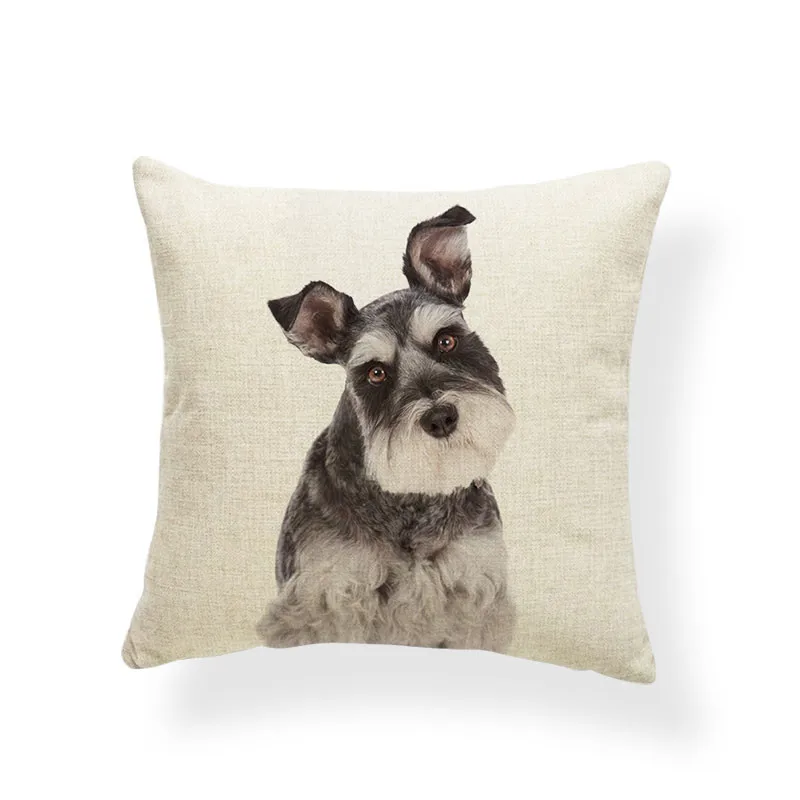 AB9207 (11) Schnauzer