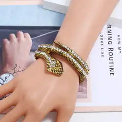 Модные панк изогнутые стрейч змея браслет ретро открытый манжеты со стразами Pulseira Feminina ювелирные изделия Bijoux амулет для женщин