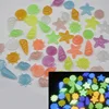 20PCS Simulated Cobblestones Marine Animal Pieces Fluorescence Acrylic Irregular Stone For Glow in the Dark Toys 1