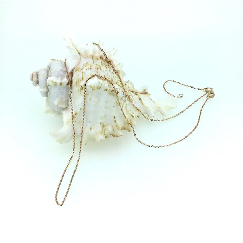 RoChain-001-6