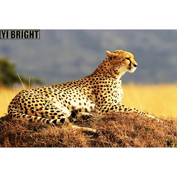 

New Full Drill 5D DIY Diamond Painting "Wildlife Cheetah Lay On Rock" Diamond Embroidery Cross Stitch Rhinestone Mosaic Craft GT