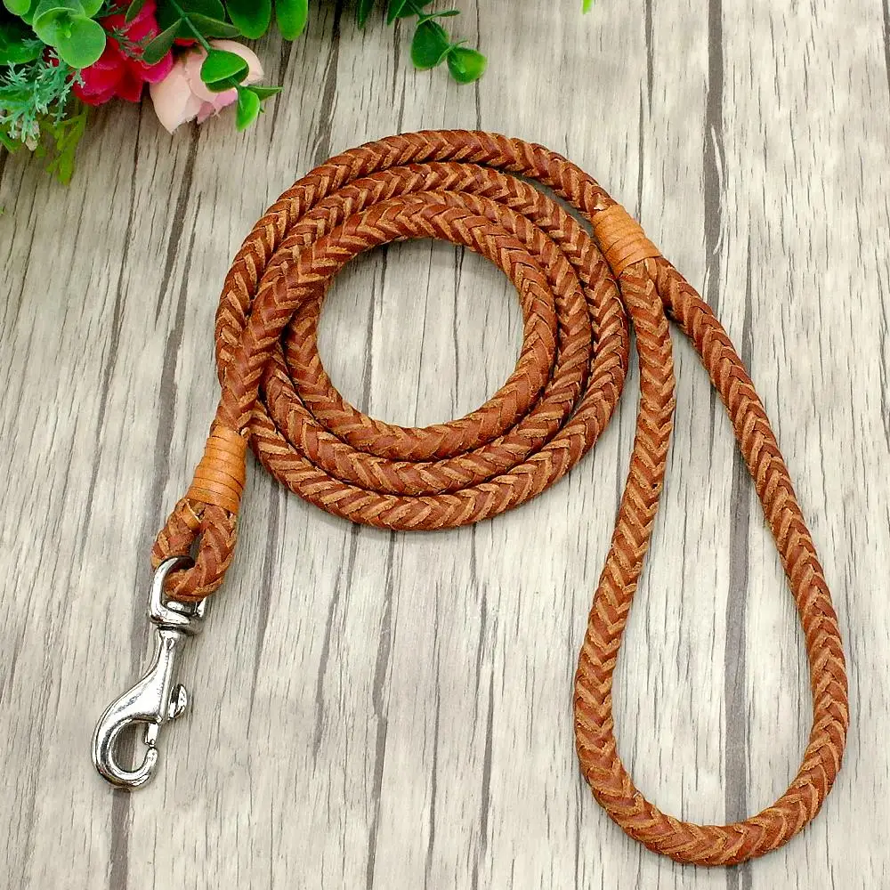 Title 5, Small Dogs Leash Braided Leather Dog Puppy Leas...