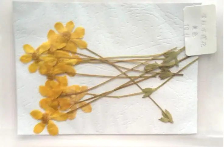 (LZM)-yellow