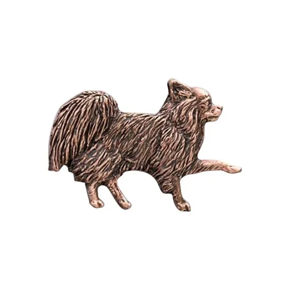 Chihuahua2