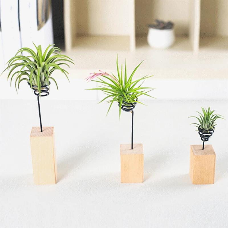 

2019 New Creative Tabletop Tillandsia Planter Desk Display Rack Fashion 6-10cm Air Plant Stand Holder Container Hot Sale