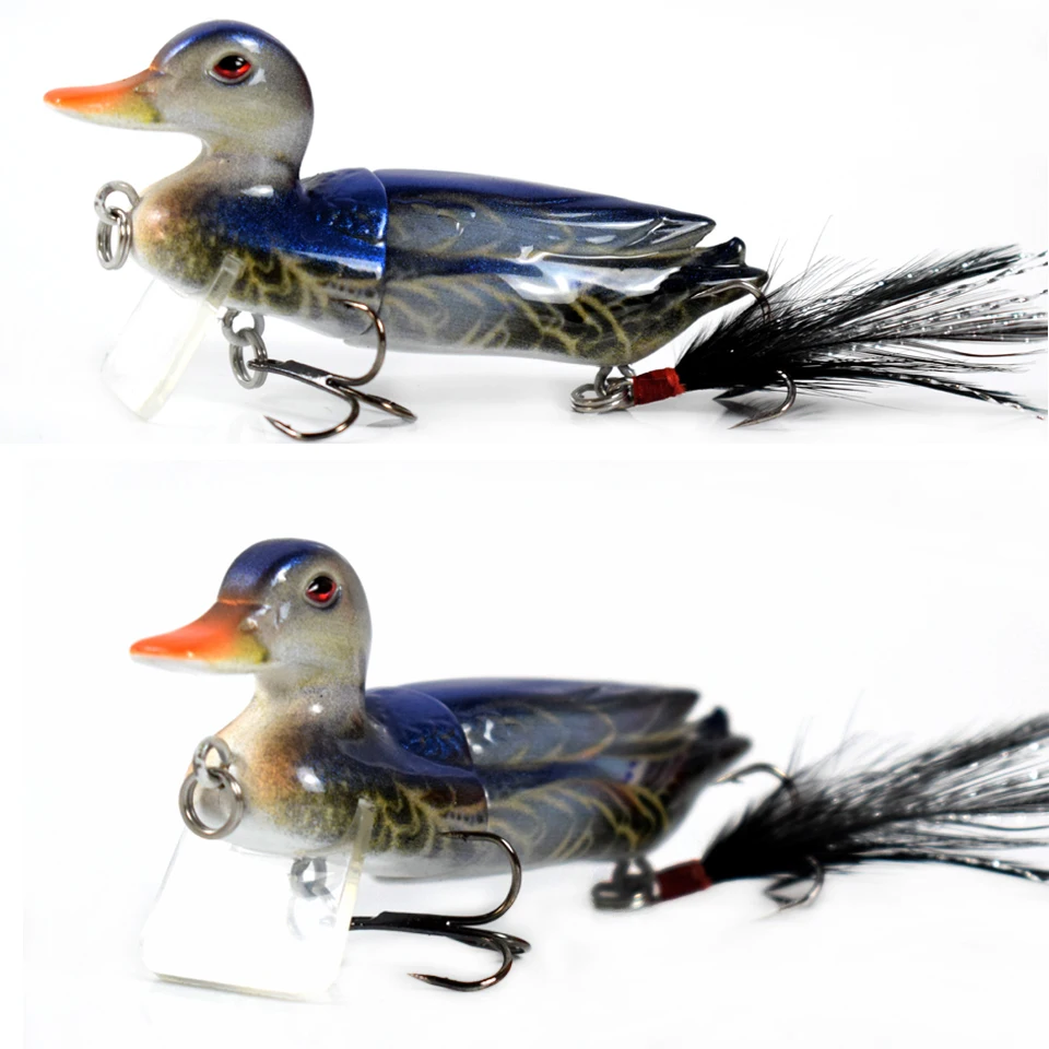 duck01a-1