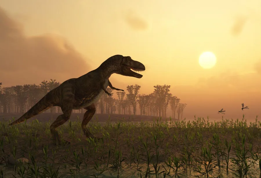 

Laeacco Jurassic Dinosaur Sunset Landscape Photography Backdrops Vinyl Backdrop Custom Camera Backgrounds Props For Photo Studio