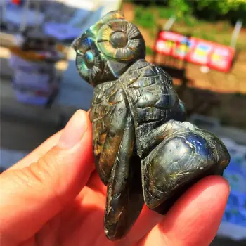 

1pcs AAAA Lovely owl statue natural gem labrador crystal healing halo home decoration