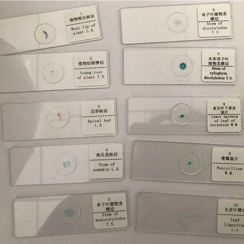 

Medical Science and Teaching Learning 100 pieces Biological Specimen Microscope Prepared Slides