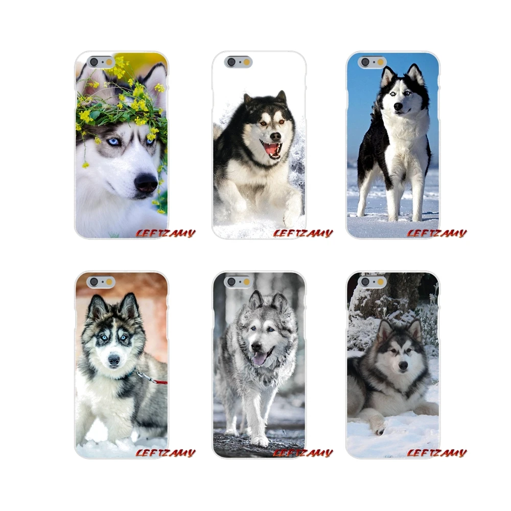 Для iPhone X XR XS MAX 4 4S 5 5S 5C SE 6 6S 7 8 Plus ipod touch Alaskan Malamute Siberian husky аксессуары Чехлы |