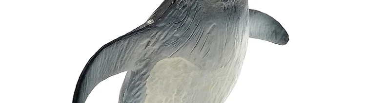 -2----DW-M-LP436-482_10