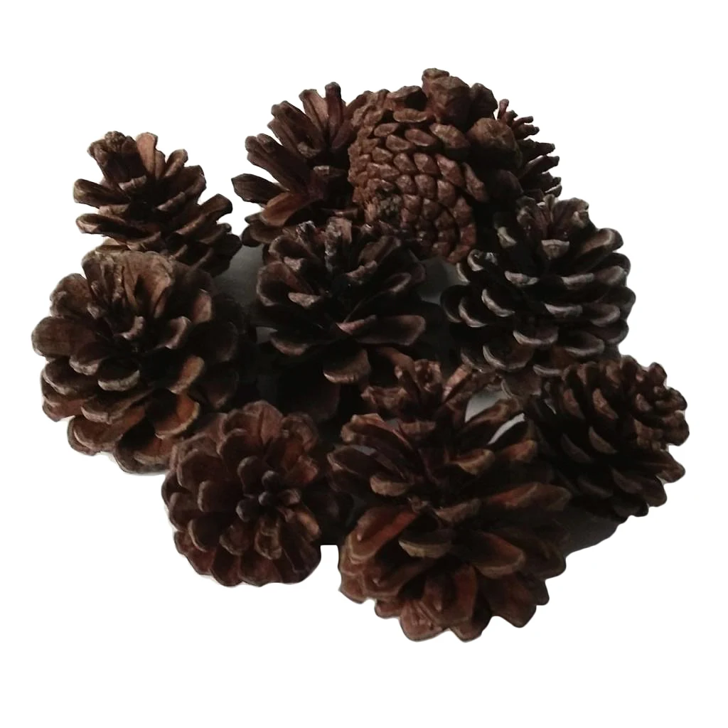 10pcs Natural Pine Cones In Bulk Dried Flowers Table Ornament for Home Christmas Decoration DIY Floral Craft Arrangement
