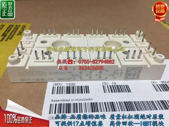 

free shipping SKDH116-16-L100 NEW