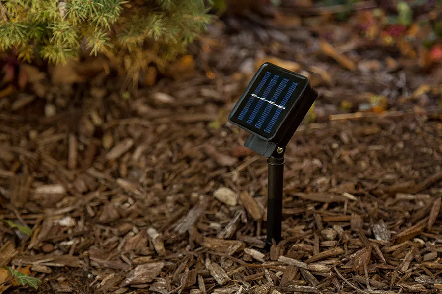 sfl-x10-sp-app-in-landscaping