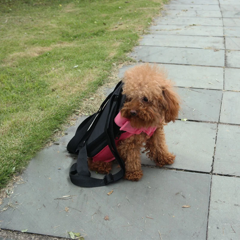 Pet Carrier Dog Bag Puppy Chihuahua Cat Backpack Breathable Mesh Travel Goods For Small Large Dogs Free Shipping PL5011 (2)