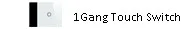 1gang