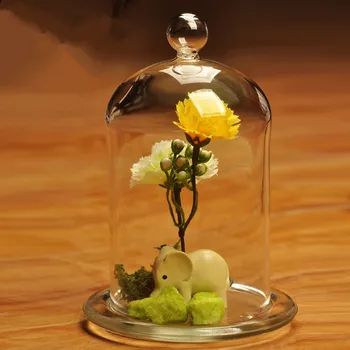 

Free Shipping 2sets/pack 9*15cm Ball Top Glass Dome Vase Home Decorative Diameter=9cm Height=15cm Wedding Favor Gift Glass Cover