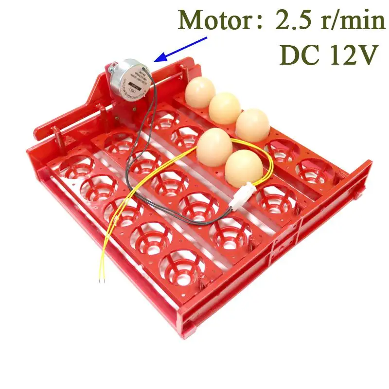 20 яичный инкубатор поворот яиц лоток яичный тестер автоматический инкубатор контроллер экспериментальное обучающее оборудование - Цвет: DC12V