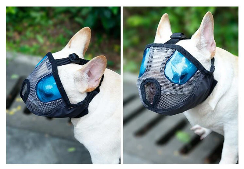 Dog Muzzle (21)