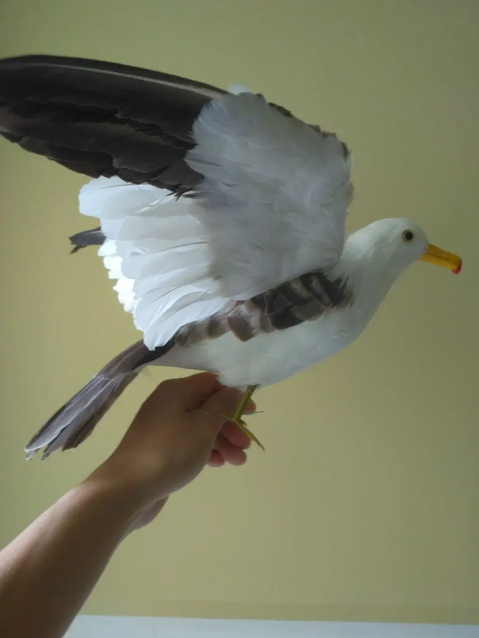 new simulation Seagull toy foam&fur wings seagull bird model about 35x50cm jonathan livingston seagull