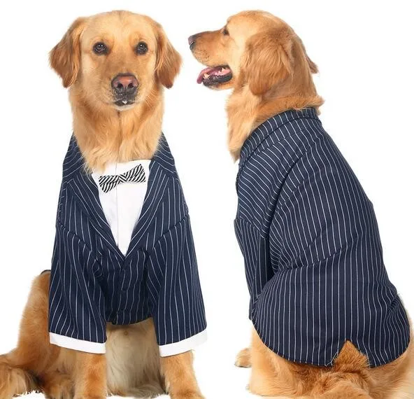 Дизайн большой собаки классный Модный Полосатый Вязаный костюм одежда большие собаки красивый свадебный костюм куртки толстовки для домашних животных 1 шт