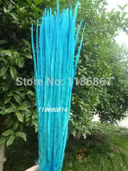 

Free Shipping 20pcs/lot ringneck pheasant tail feather 50-55cm 20-22" off turquoise lake blue dyed pheasant feather tail