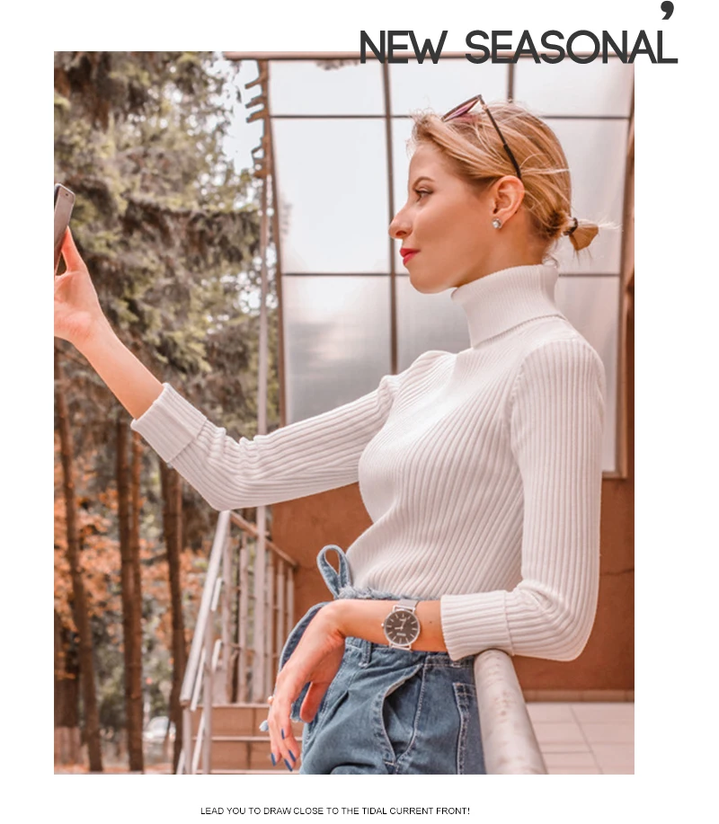 Warm Winter Women Sweater Turtleneck Pullover Knitted Sweaters For Ladies Long Sleeve High Elasticity Soft Pullovers Autumn 2018 (6)