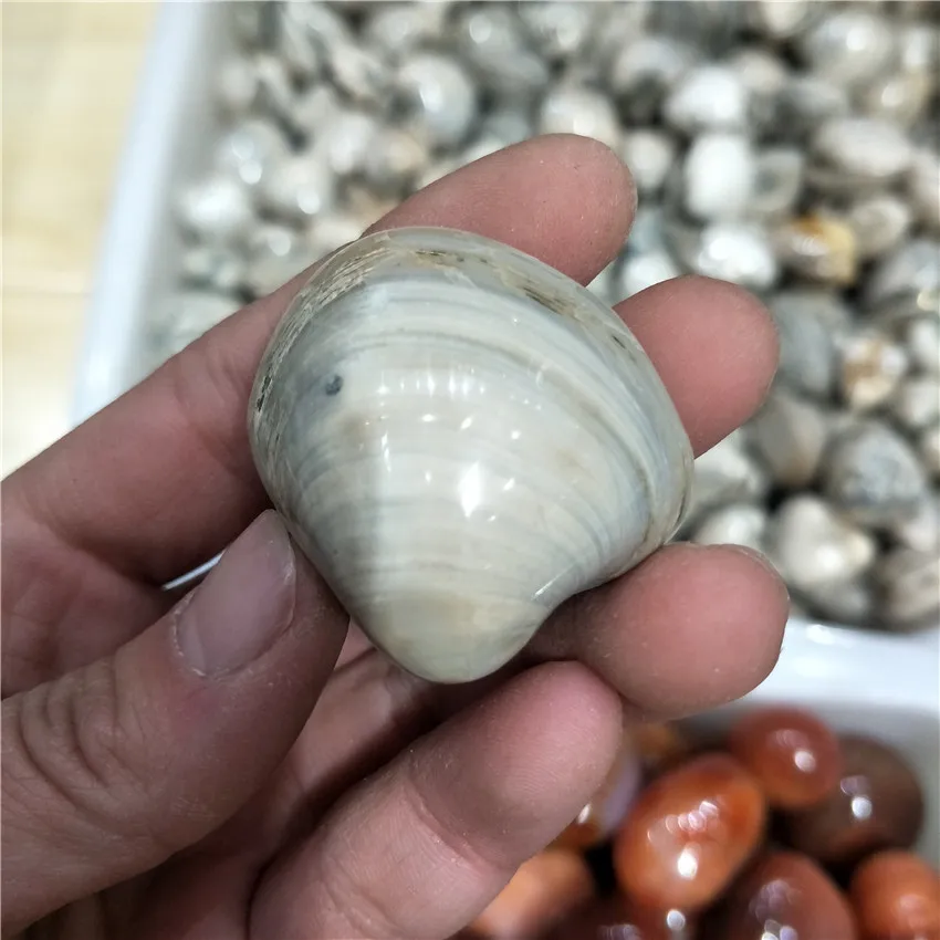 IMG20180219113050