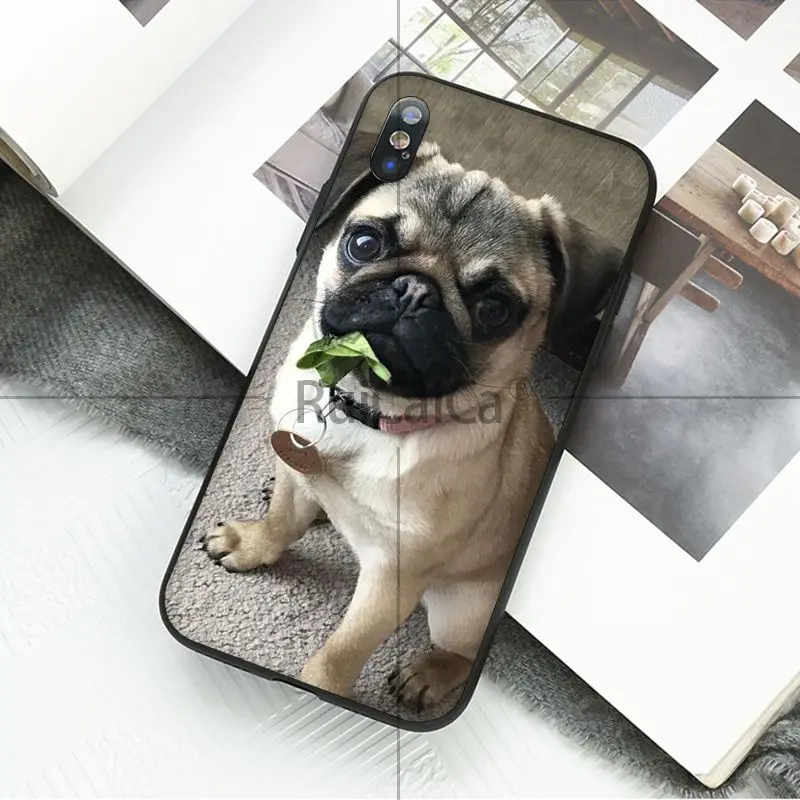 Animal cute pug
