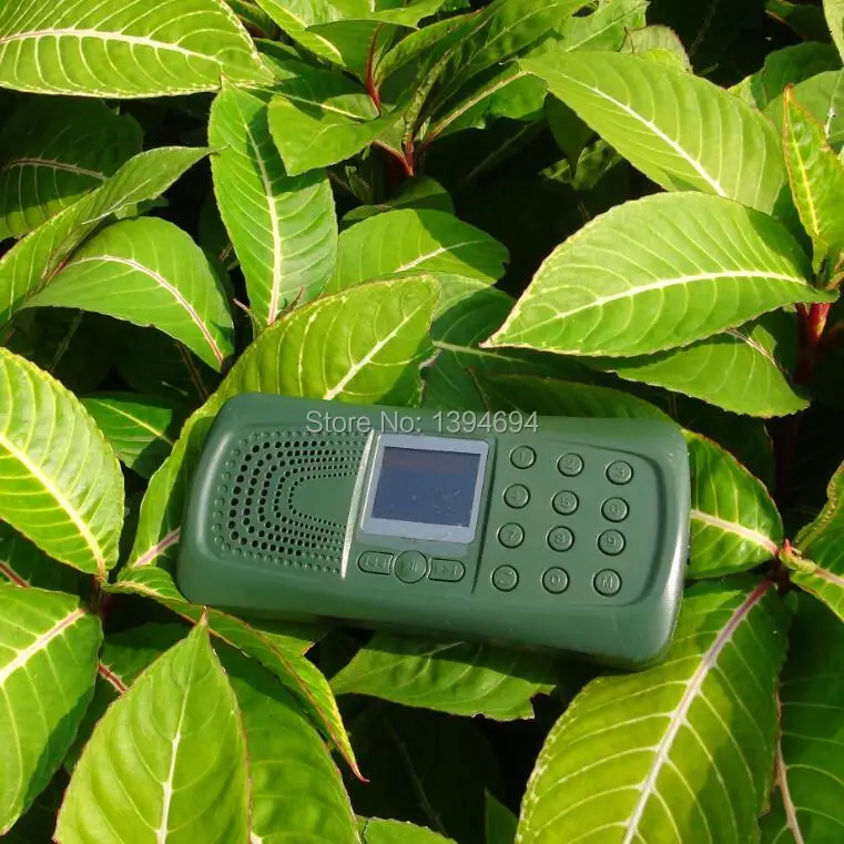 

17KEYS 12V power hunting bird MP3 player bird calls